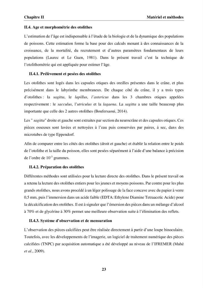 Etude des habitudes alimentaires, de la croissance et évaluation du stock du Pageot blanc Pagellus acarne(Risso,1826) dans la région centre algérienne: