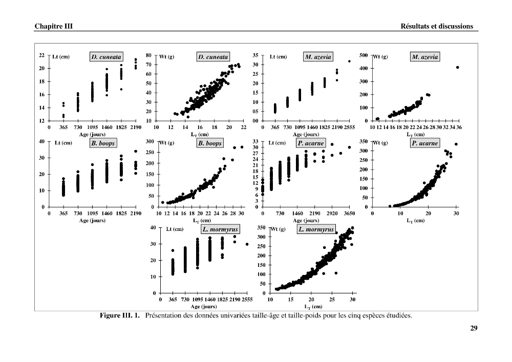 Estimation des paramètres du modèle bioénergétique DEB (Dynamic Energy Budget) pour étudier la croissance et la reproduction de quelques espèces de Sparidae et de Soleidae des côtes algériennes.