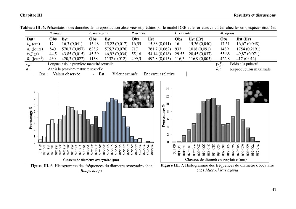Estimation des paramètres du modèle bioénergétique DEB (Dynamic Energy Budget) pour étudier la croissance et la reproduction de quelques espèces de Sparidae et de Soleidae des côtes algériennes.