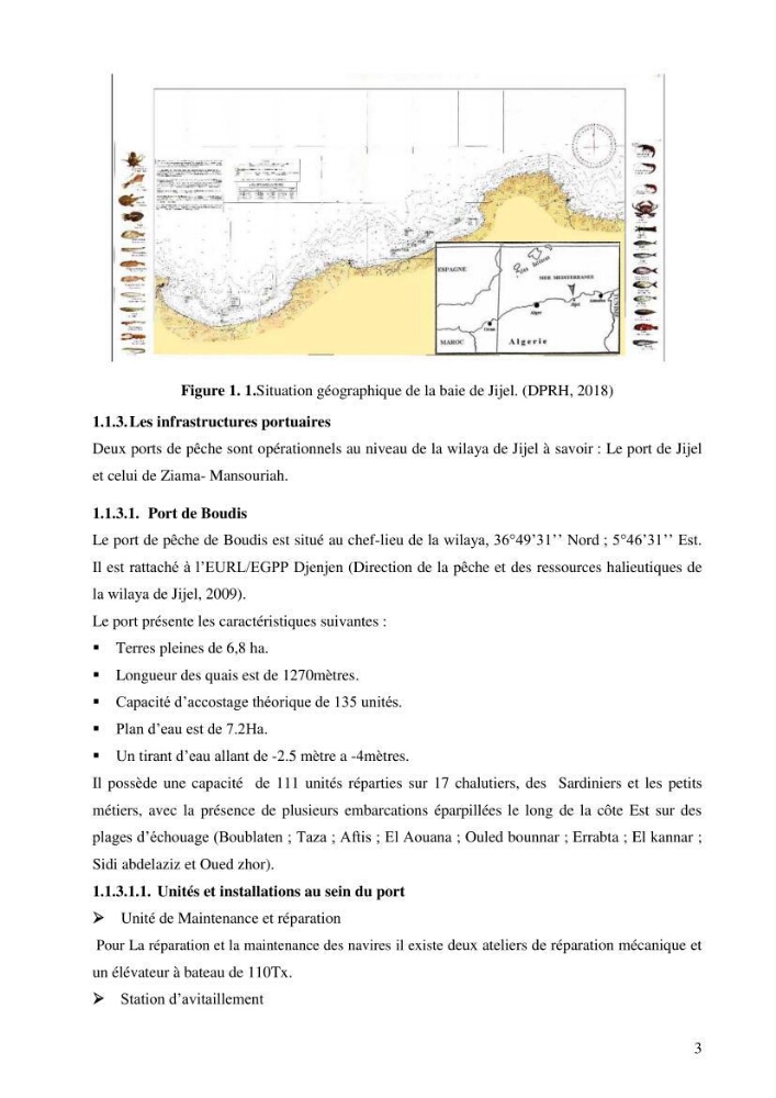 Contribution à l’étude de la croissance et de l’exploitation de l’espèce « Mullus barbatus» dans la baie de Jijel.