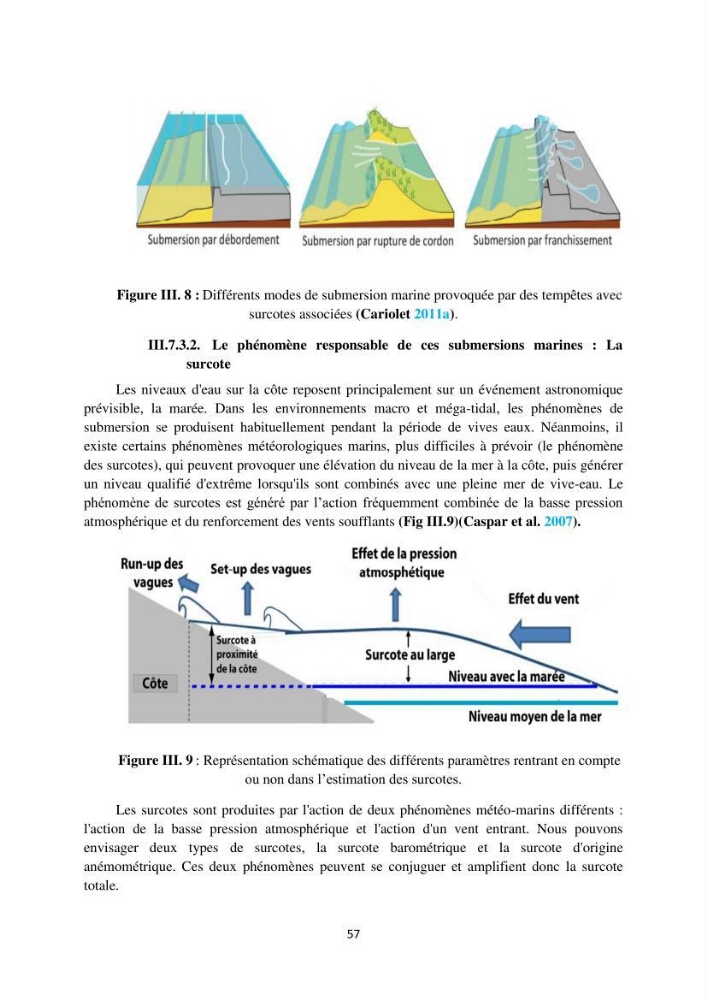 processus mis en Jeu dans l\'évolution Miorpho-dynamique de la baie zemmouri: Modélisation Hydro-Sédimentaire et cinématique du trait de Côte.