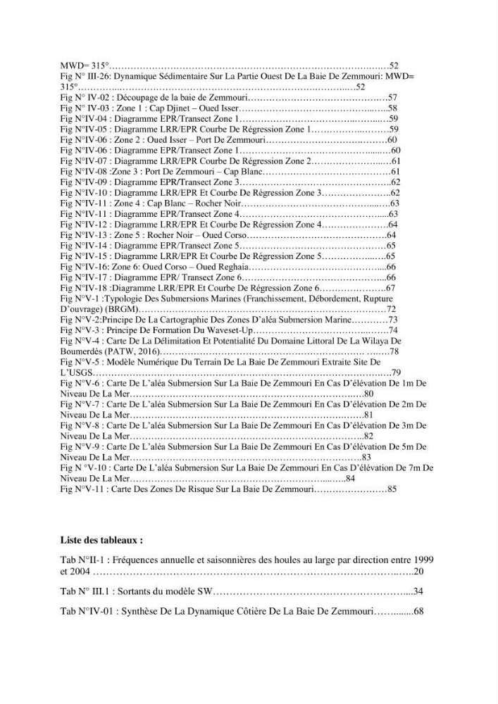Modélisation de la dynamique et la cinématique à multi échelles du trait de côte et évaluation des zones à risques du littoral centre Algérien : Baie de Zemmouri