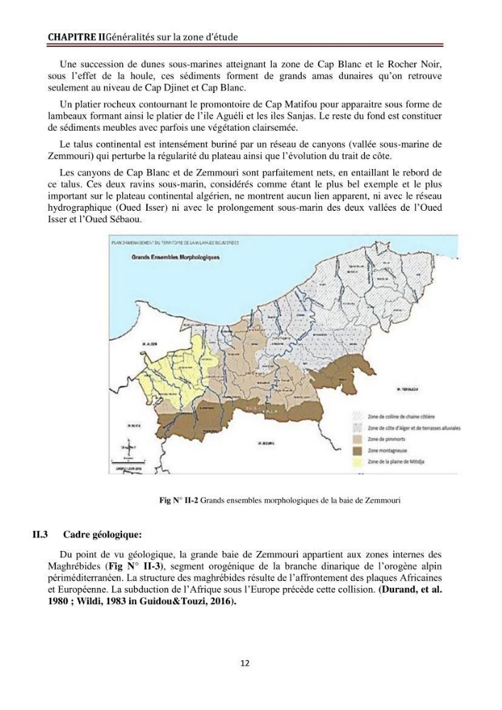 Modélisation de la dynamique et la cinématique à multi échelles du trait de côte et évaluation des zones à risques du littoral centre Algérien : Baie de Zemmouri
