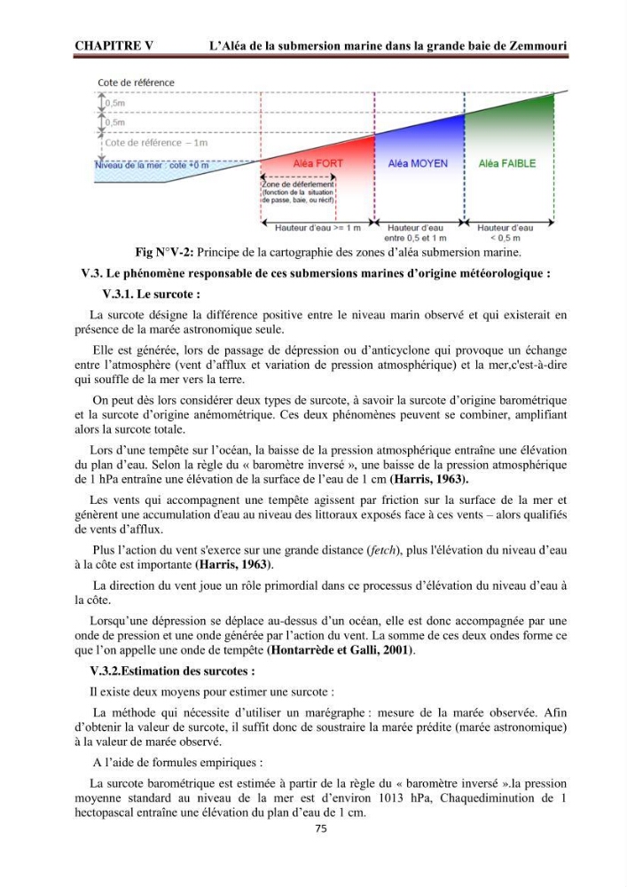Modélisation de la dynamique et la cinématique à multi échelles du trait de côte et évaluation des zones à risques du littoral centre Algérien : Baie de Zemmouri