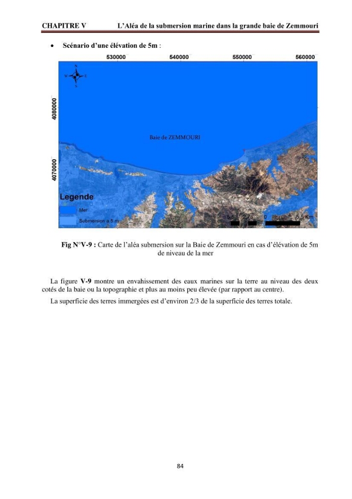 Modélisation de la dynamique et la cinématique à multi échelles du trait de côte et évaluation des zones à risques du littoral centre Algérien : Baie de Zemmouri