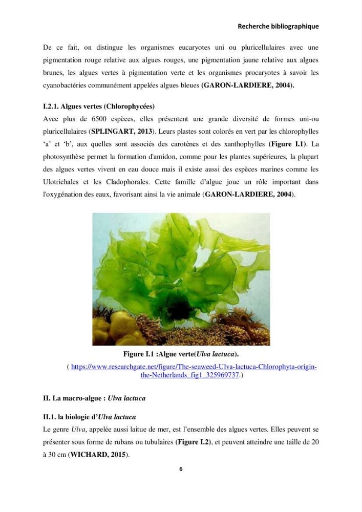 Extraction des molécules d’intérêt médical à partir d’une algue marine