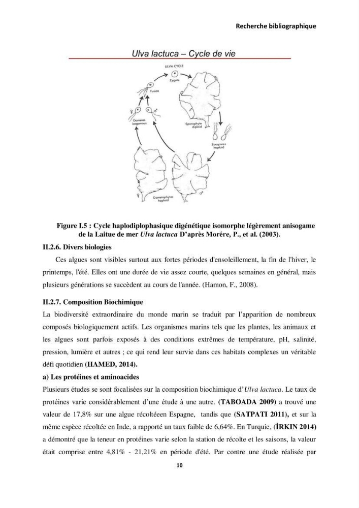 Extraction des molécules d’intérêt médical à partir d’une algue marine