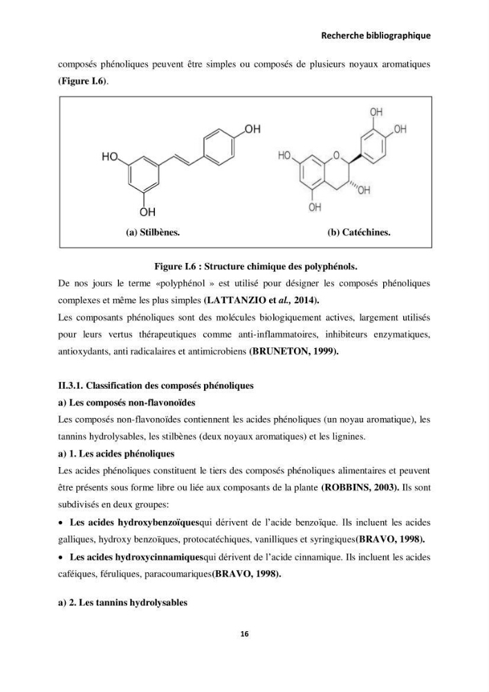 Extraction des molécules d’intérêt médical à partir d’une algue marine