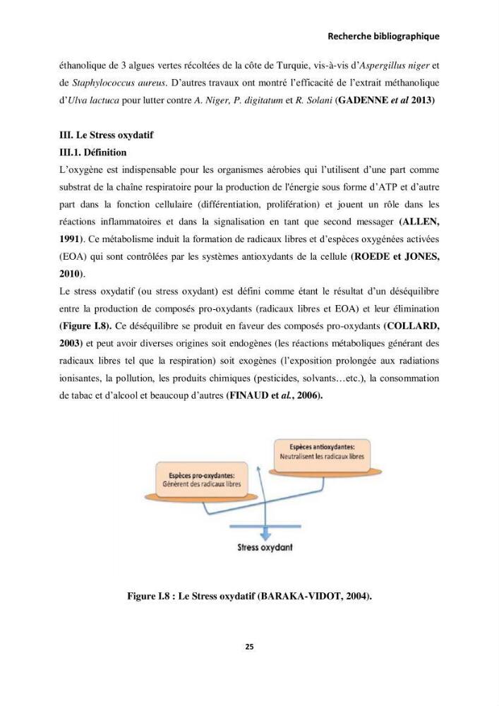 Extraction des molécules d’intérêt médical à partir d’une algue marine