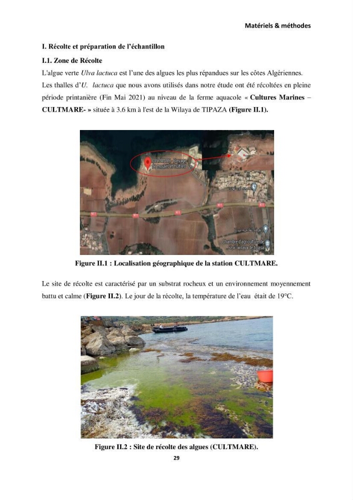 Extraction des molécules d’intérêt médical à partir d’une algue marine