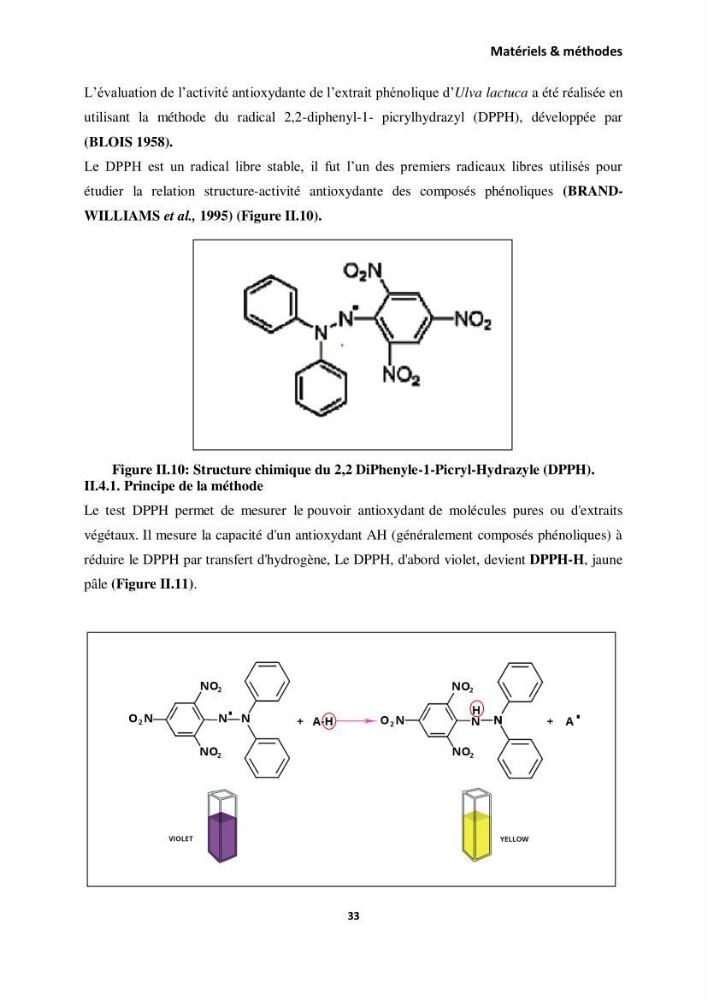 Extraction des molécules d’intérêt médical à partir d’une algue marine