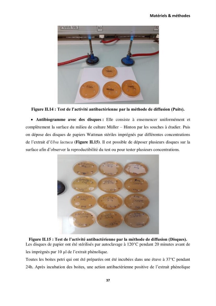 Extraction des molécules d’intérêt médical à partir d’une algue marine