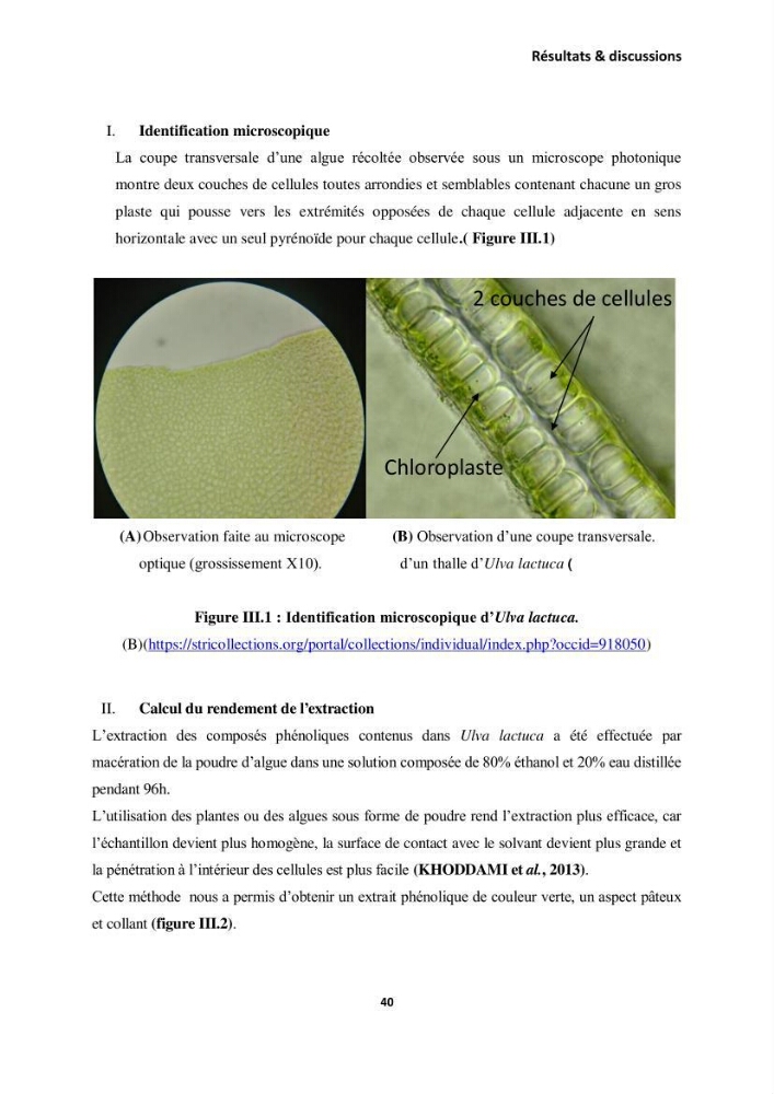 Extraction des molécules d’intérêt médical à partir d’une algue marine