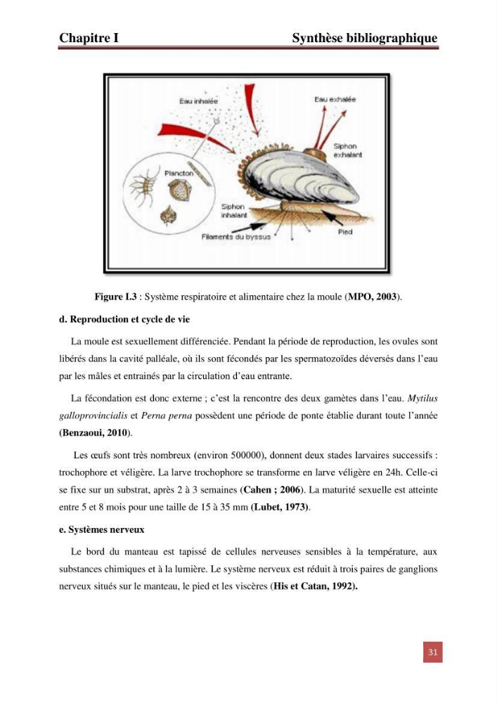 Evaluation du taux des hydrocarbures aromatiques polycycliques chez le mollusque Patella.sp et les moules du littoral Algérois: