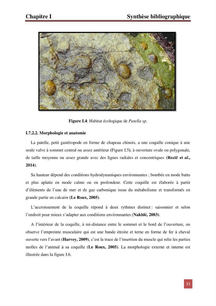 Evaluation du taux des hydrocarbures aromatiques polycycliques chez le mollusque Patella.sp et les moules du littoral Algérois: