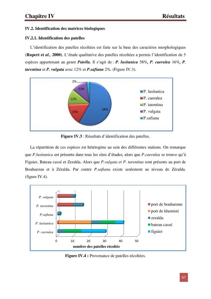 Evaluation du taux des hydrocarbures aromatiques polycycliques chez le mollusque Patella.sp et les moules du littoral Algérois: