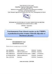 Fonctionnement d’une écloserie marine cas du CNRDPA et production de proies vivantes (Chlorella ellipsoïdae et Brachionus plicatilis):