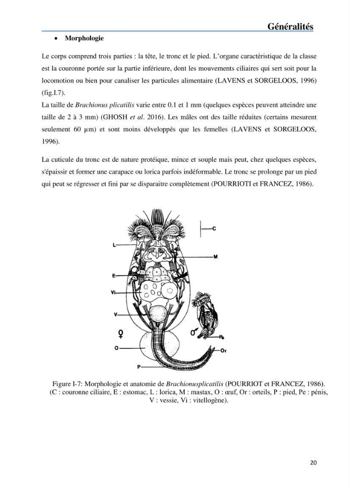 Fonctionnement d’une écloserie marine cas du CNRDPA et production de proies vivantes (Chlorella ellipsoïdae et Brachionus plicatilis):