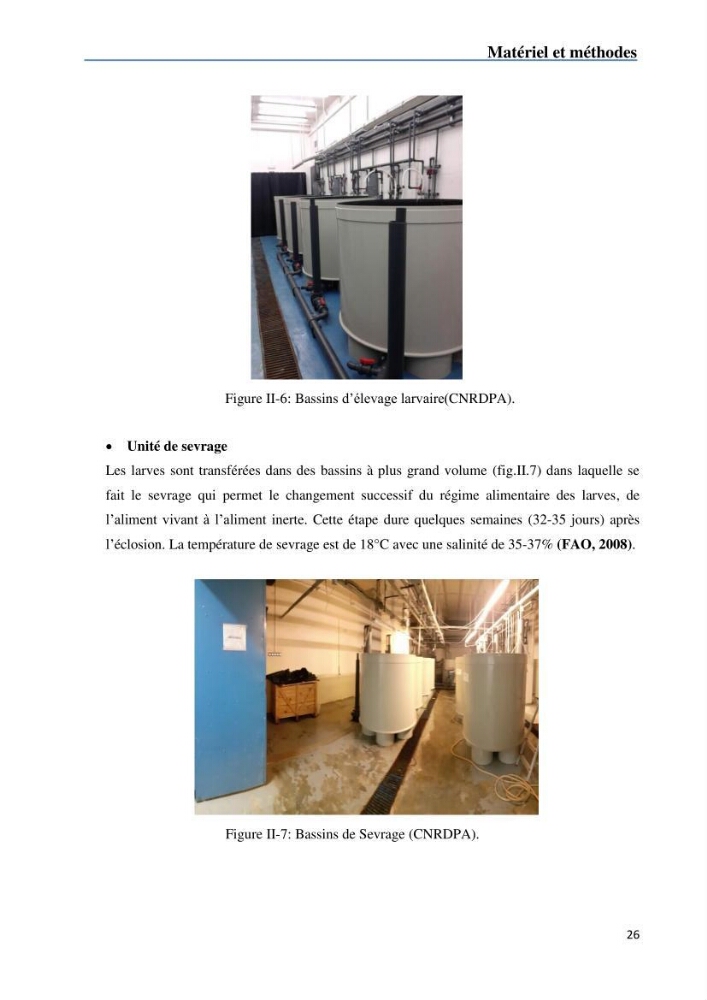 Fonctionnement d’une écloserie marine cas du CNRDPA et production de proies vivantes (Chlorella ellipsoïdae et Brachionus plicatilis):