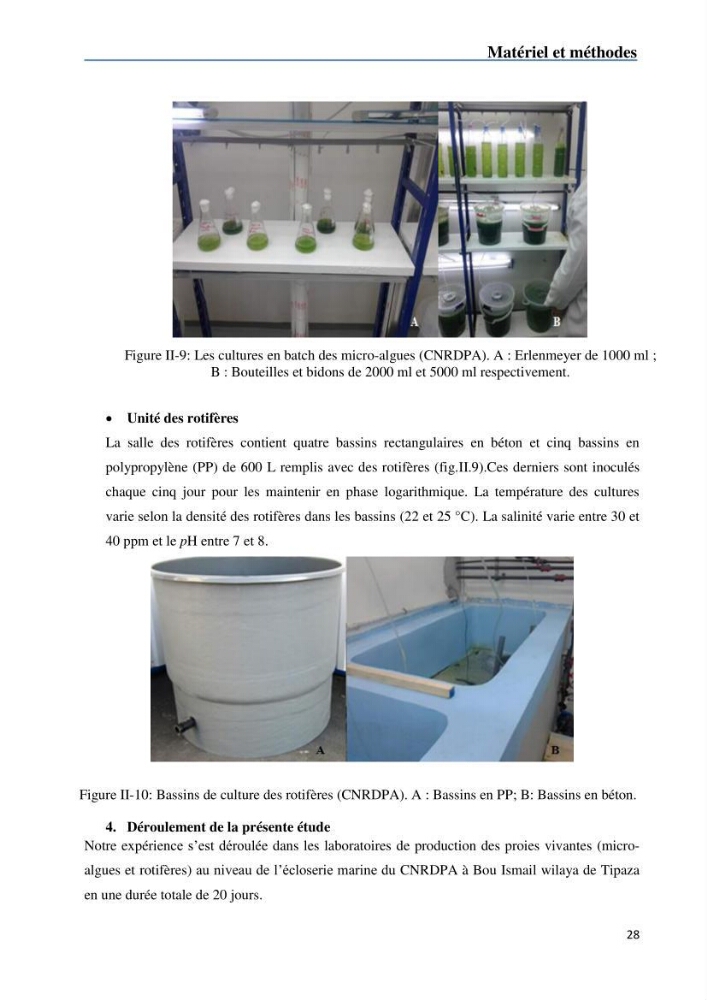 Fonctionnement d’une écloserie marine cas du CNRDPA et production de proies vivantes (Chlorella ellipsoïdae et Brachionus plicatilis):