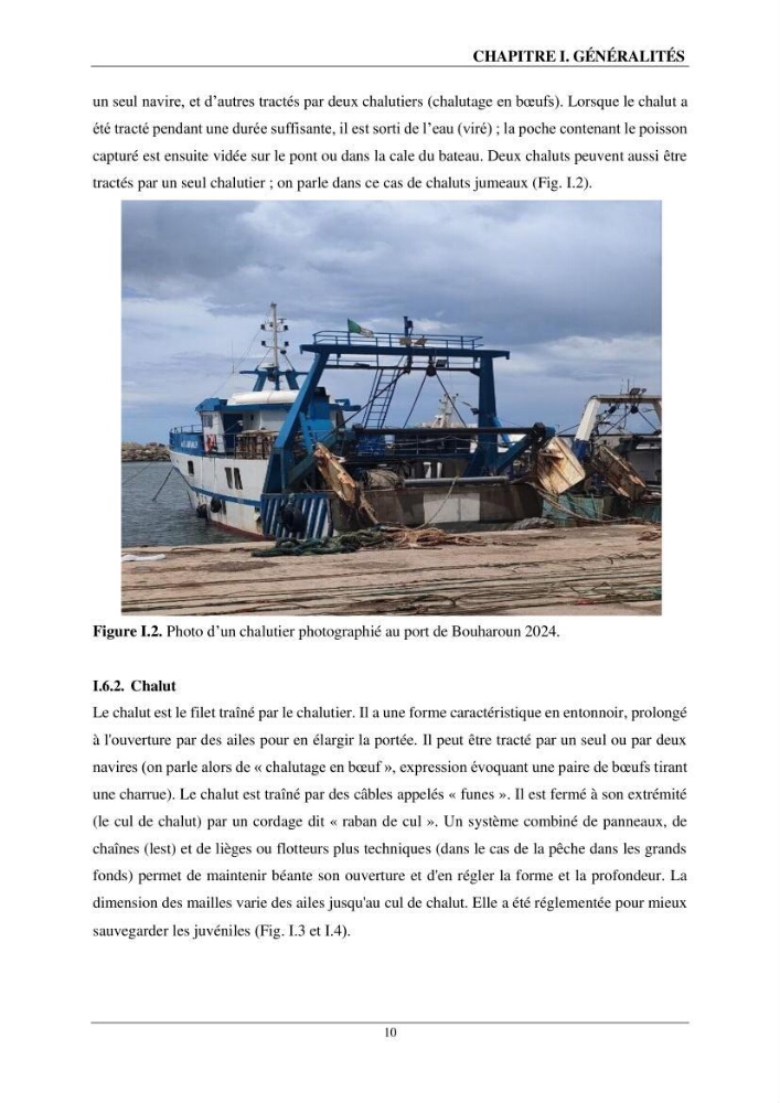 L\'impact du chalutage de fond sur la biodiversité marine de la région centre de l\'Algérie