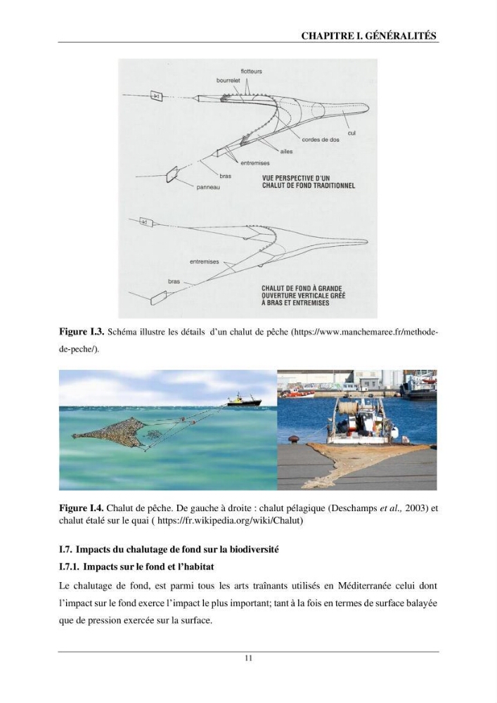 L\'impact du chalutage de fond sur la biodiversité marine de la région centre de l\'Algérie