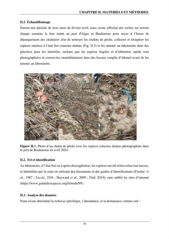 L\'impact du chalutage de fond sur la biodiversité marine de la région centre de l\'Algérie