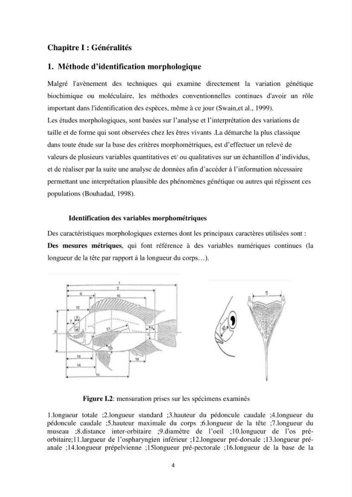 Contribution a la caractérisation systématique et morphologique des poissons :