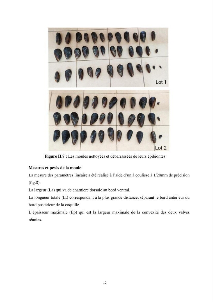 Contribution a la caractérisation systématique et morphologique des poissons :
