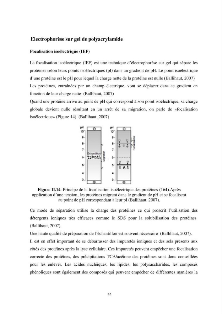 Contribution a la caractérisation systématique et morphologique des poissons :