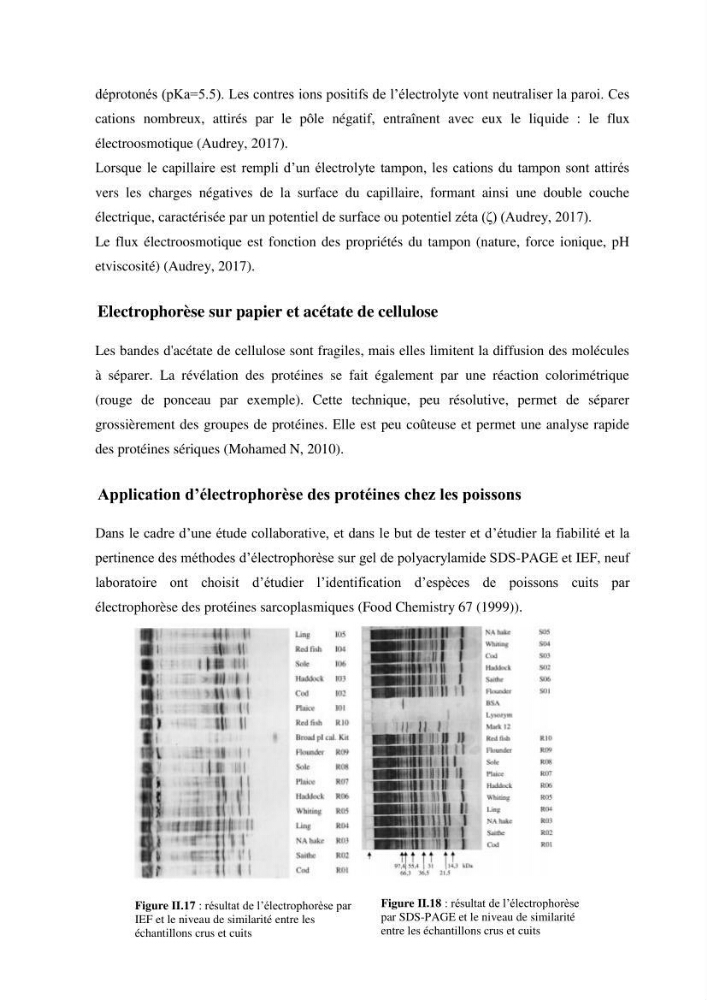 Contribution a la caractérisation systématique et morphologique des poissons :
