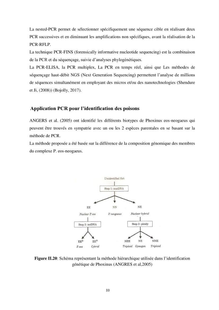 Contribution a la caractérisation systématique et morphologique des poissons :