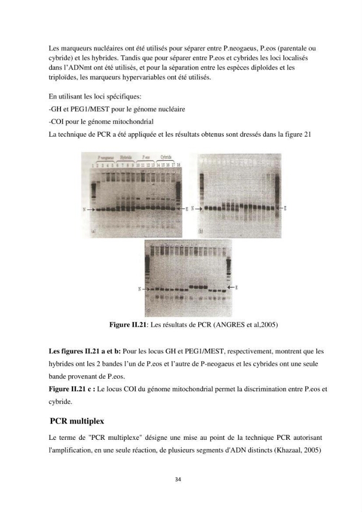 Contribution a la caractérisation systématique et morphologique des poissons :