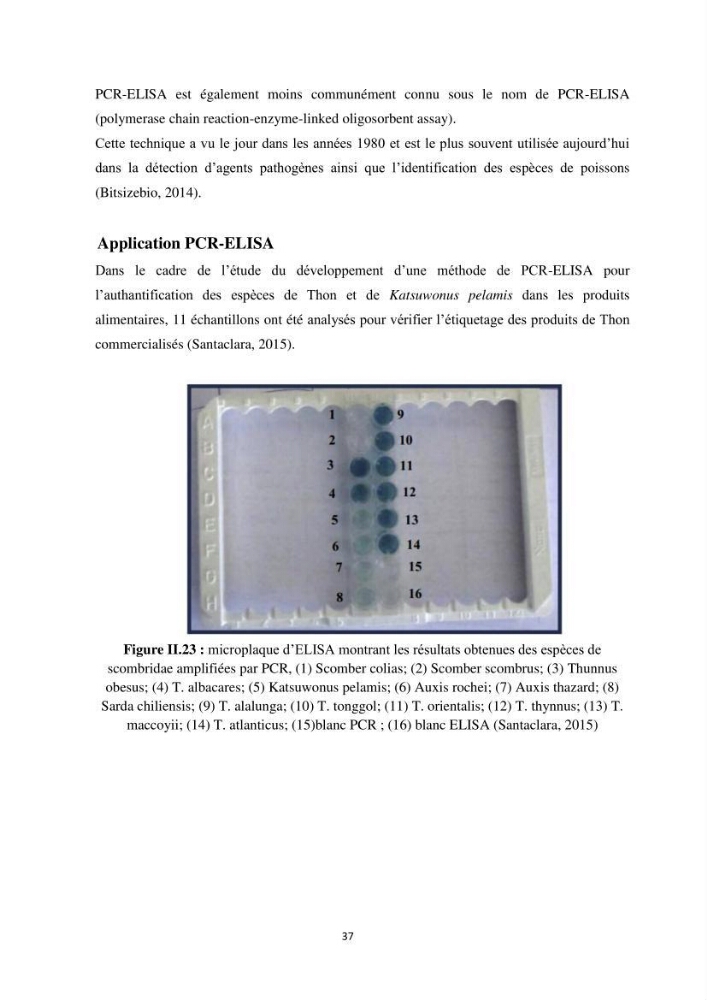 Contribution a la caractérisation systématique et morphologique des poissons :