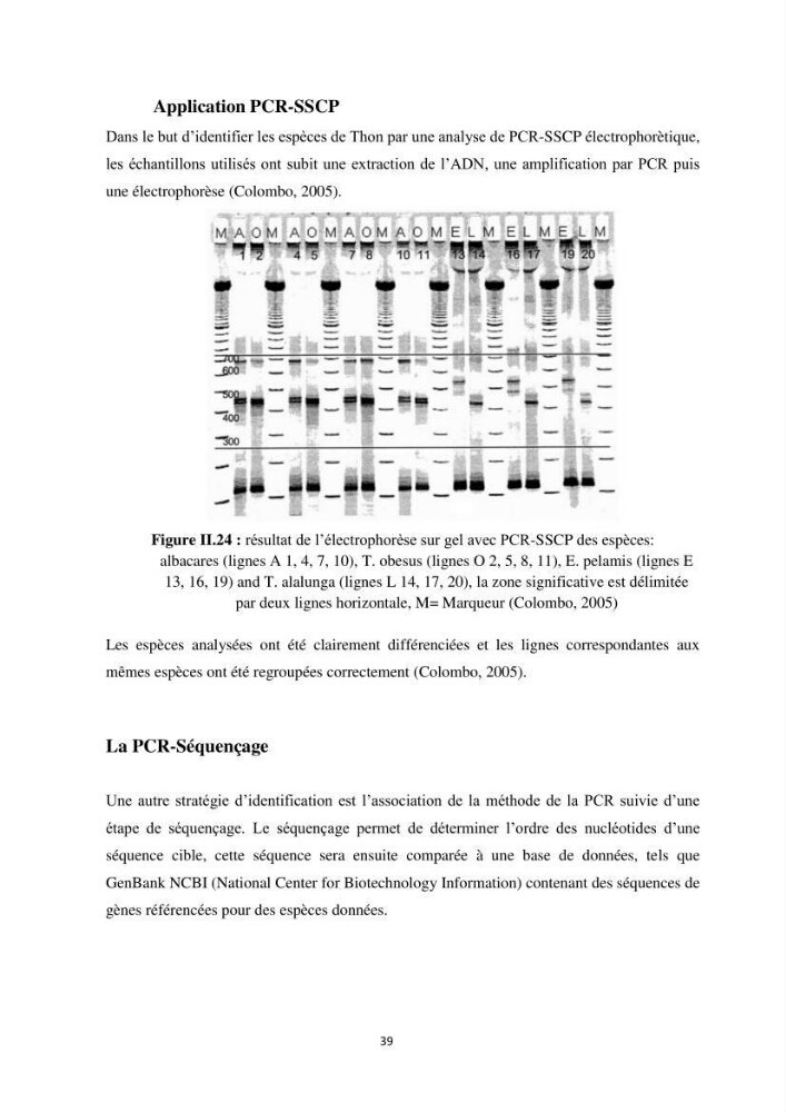 Contribution a la caractérisation systématique et morphologique des poissons :