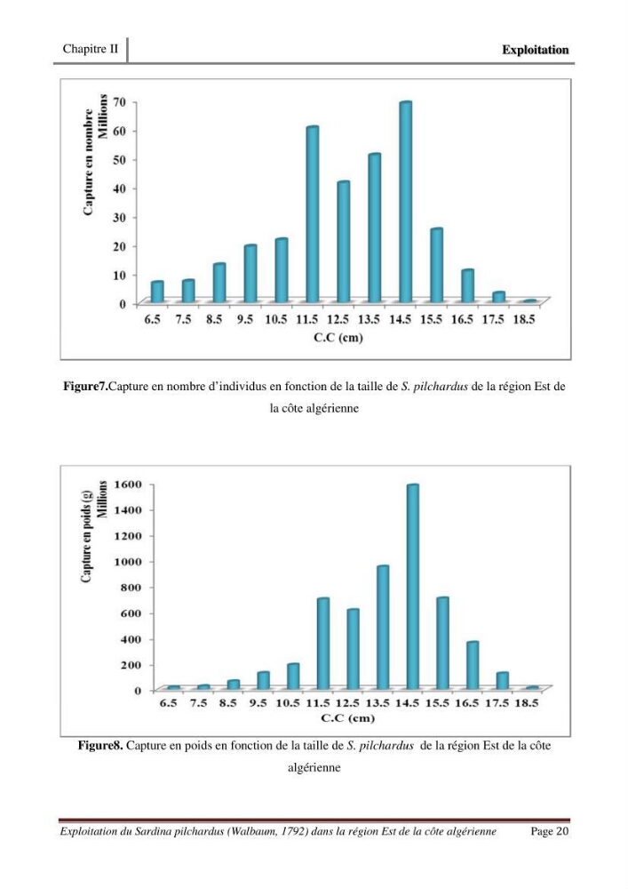 Exploitation de la sardine Sardina pilchardus ( Walbaum,1792) de la région Est de la côte Algerienne ( Jijel,Skikda et Annaba)