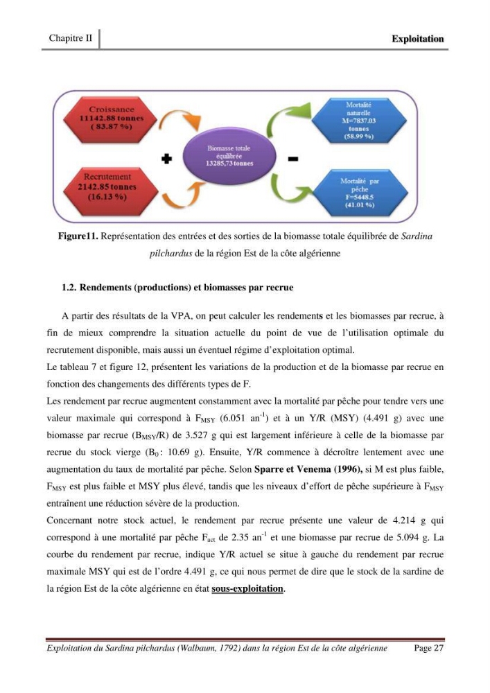 Exploitation de la sardine Sardina pilchardus ( Walbaum,1792) de la région Est de la côte Algerienne ( Jijel,Skikda et Annaba)