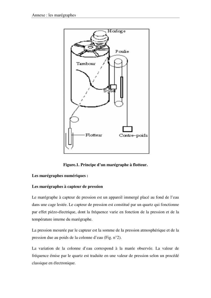 Contribution à la compréhension de la hausse Soudaine du Niveau de la mer: cas de la baie d\'Alger