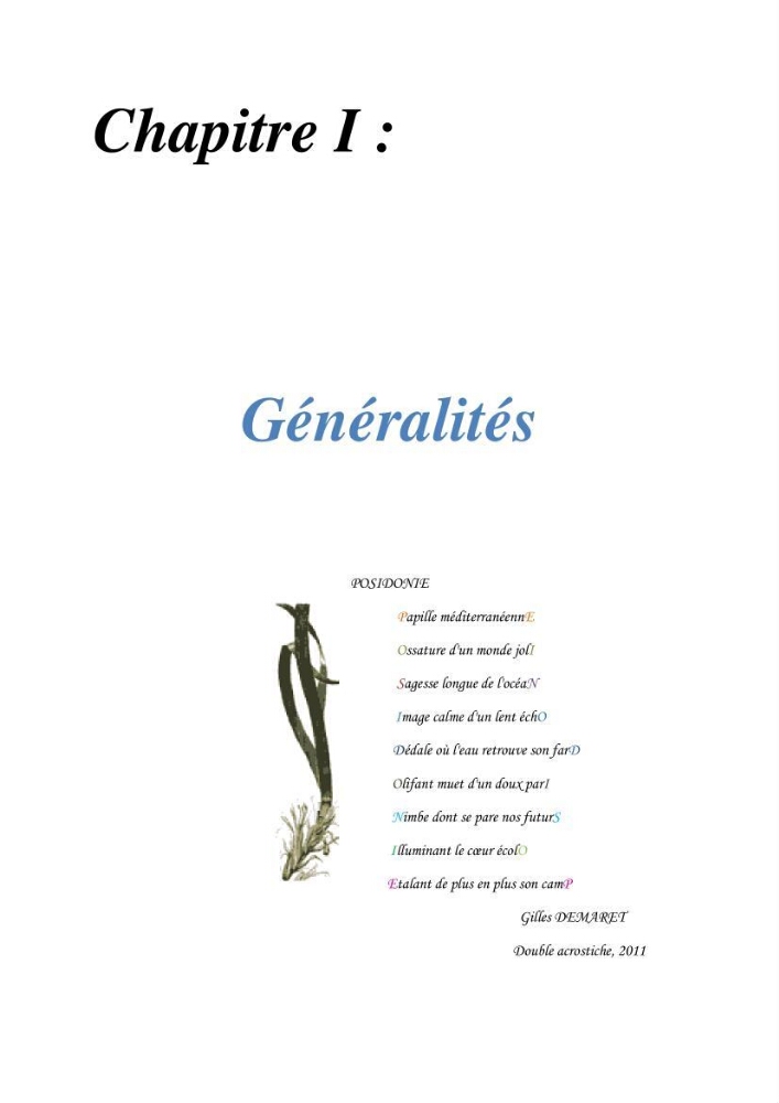 Contribution à l\'étude des paramètres vitaux de l\'herbier à posidonie ( Posidonia oceanica) en relation avec la pollurtion: