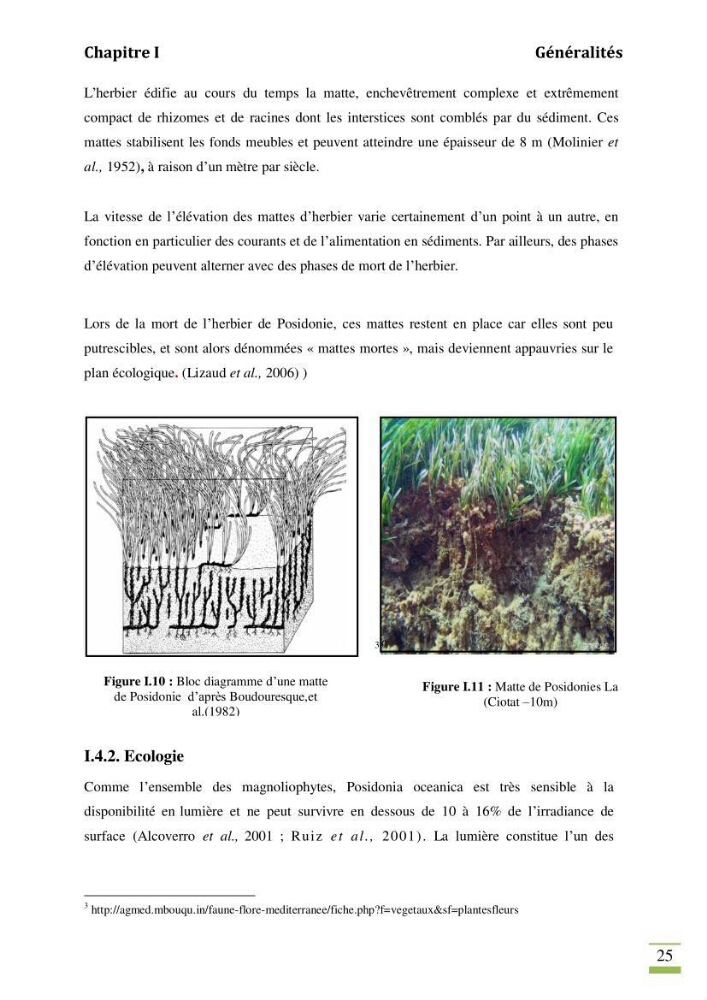 Contribution à l\'étude des paramètres vitaux de l\'herbier à posidonie ( Posidonia oceanica) en relation avec la pollurtion: