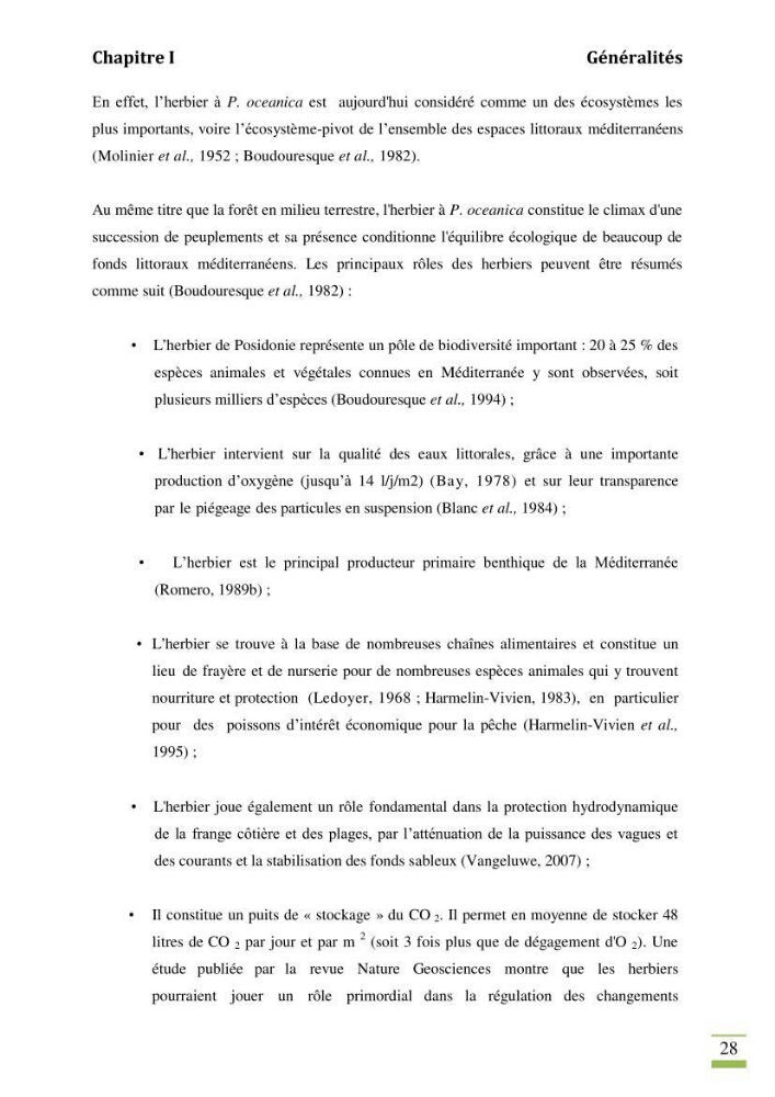Contribution à l\'étude des paramètres vitaux de l\'herbier à posidonie ( Posidonia oceanica) en relation avec la pollurtion: