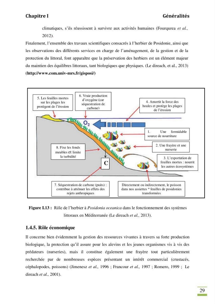 Contribution à l\'étude des paramètres vitaux de l\'herbier à posidonie ( Posidonia oceanica) en relation avec la pollurtion: