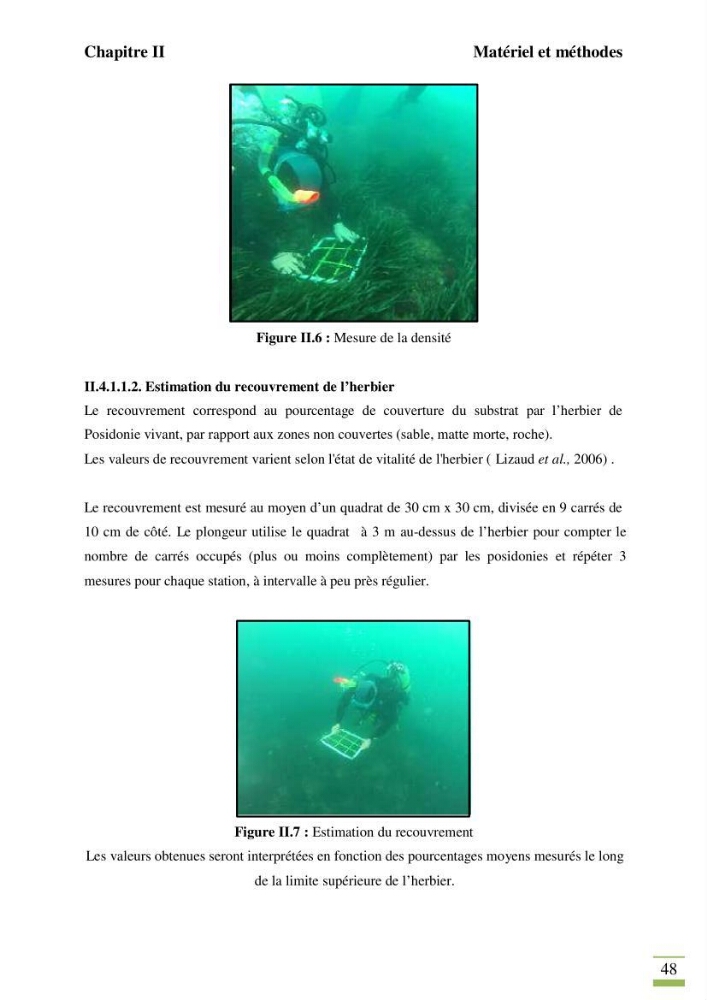 Contribution à l\'étude des paramètres vitaux de l\'herbier à posidonie ( Posidonia oceanica) en relation avec la pollurtion: