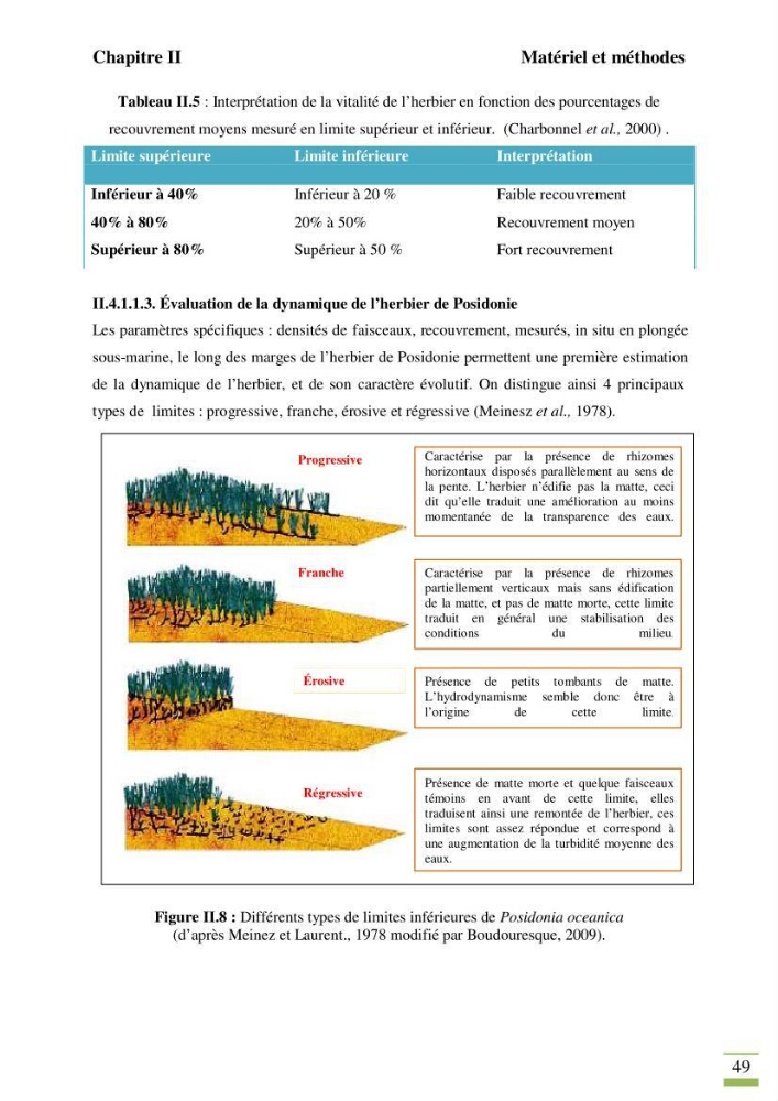 Contribution à l\'étude des paramètres vitaux de l\'herbier à posidonie ( Posidonia oceanica) en relation avec la pollurtion: