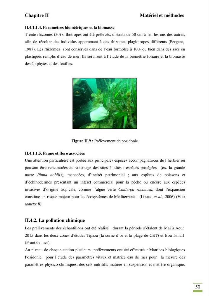 Contribution à l\'étude des paramètres vitaux de l\'herbier à posidonie ( Posidonia oceanica) en relation avec la pollurtion: