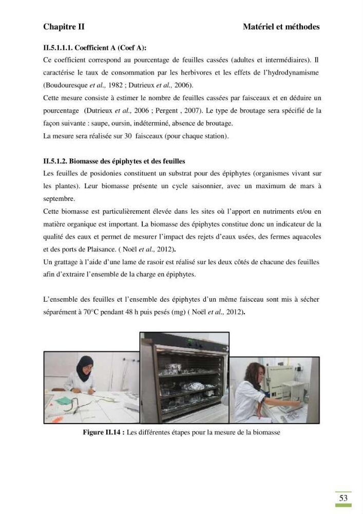 Contribution à l\'étude des paramètres vitaux de l\'herbier à posidonie ( Posidonia oceanica) en relation avec la pollurtion:
