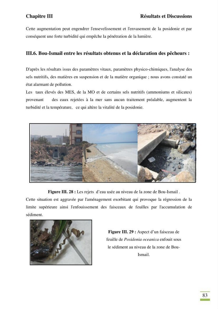 Contribution à l\'étude des paramètres vitaux de l\'herbier à posidonie ( Posidonia oceanica) en relation avec la pollurtion: