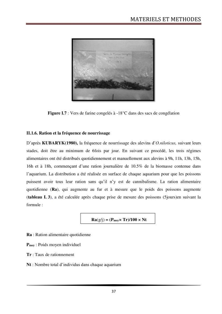 Valorisation de la culture des vers de farine dans l\'alimentation du Tilapia du Nil Oreochromis niloticus (Linnaeus, 1758°