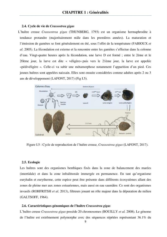 Etude des performances de croissance de l\'huître Crassostrea gigas (THUNBERG, 1793) triploïde de l\'élevage Cultures Marines (Tipaza)