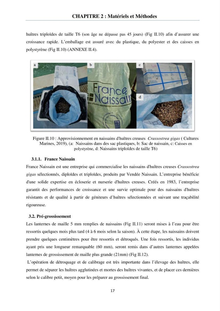 Etude des performances de croissance de l\'huître Crassostrea gigas (THUNBERG, 1793) triploïde de l\'élevage Cultures Marines (Tipaza)